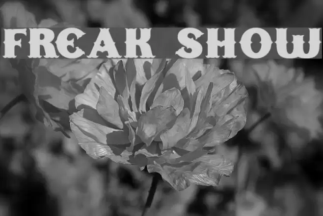 Freak Show خط examples