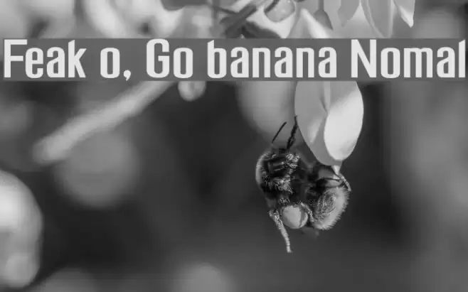 Freak out, Go bananas Normal Font examples
