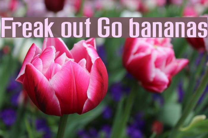 Freak out Go bananas Font examples