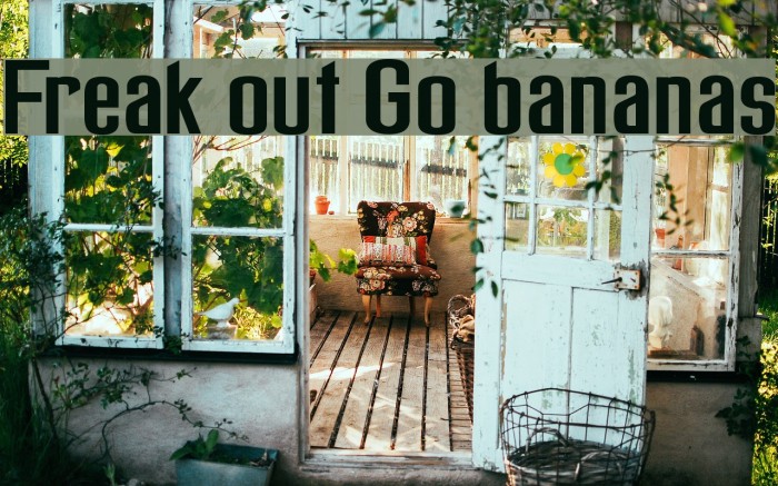 Freak out Go bananas Font examples