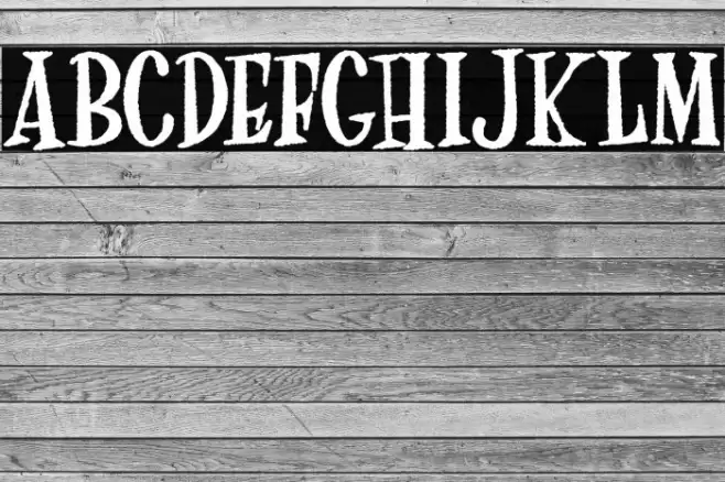 FreakArt Personal Use Bold Font examples