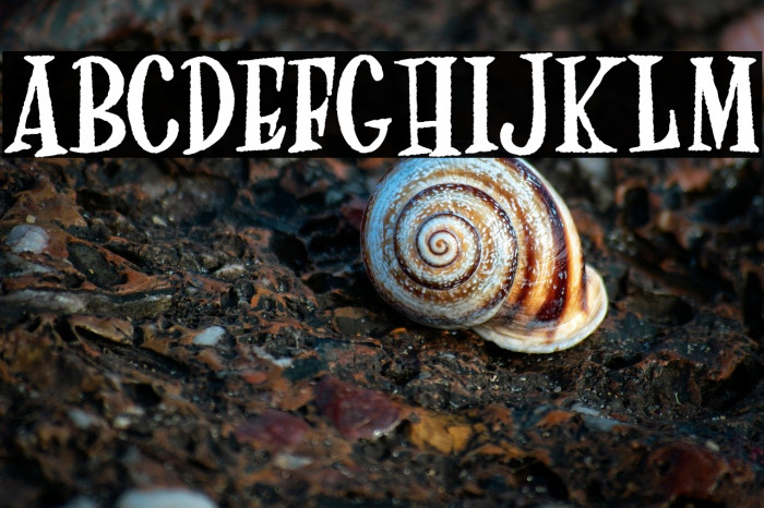 FreakArtPersonalUse-Bold Example 3