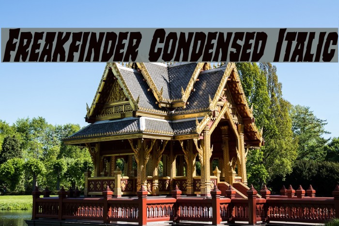 Freakfinder Condensed Italic Font examples