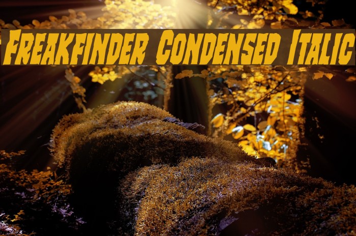 Freakfinder Condensed Italic Font examples