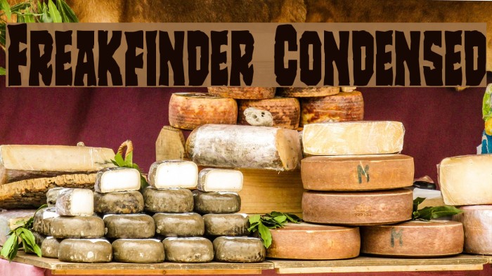 Freakfinder Condensed Example 1