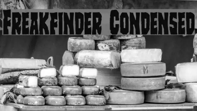 Freakfinder Condensed Font examples
