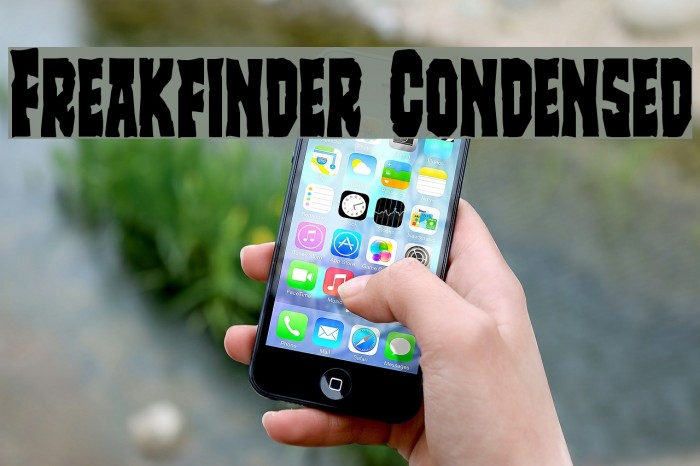 Freakfinder Condensed Example 2