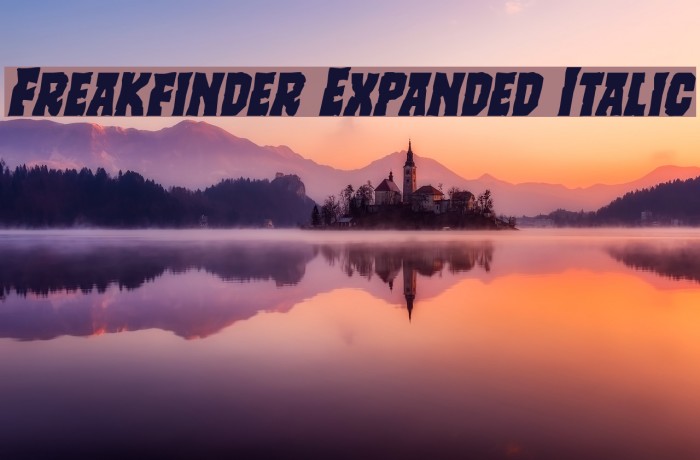 Freakfinder Expanded Italic Font examples