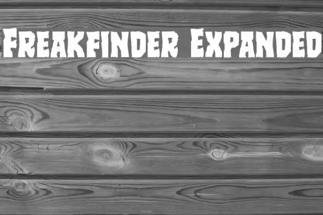 Freakfinder Expanded Font examples