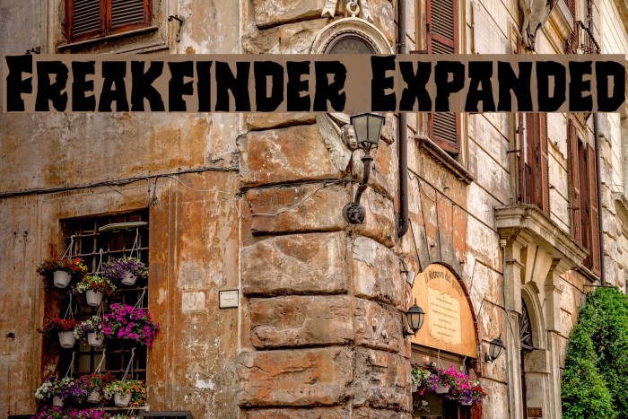 Freakfinder Expanded Example 2