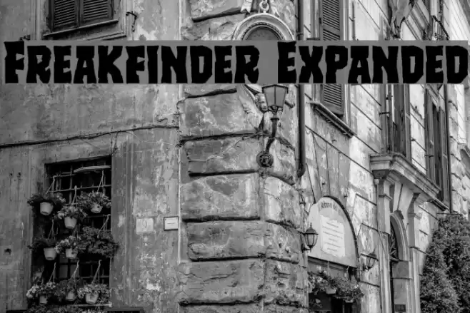 Freakfinder Expanded Font examples