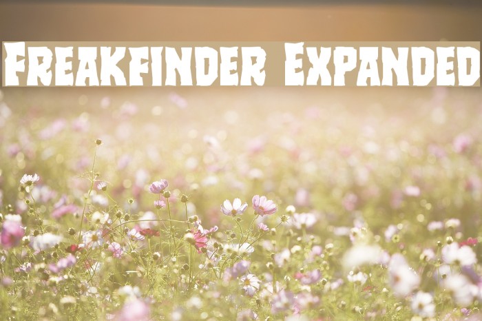 Freakfinder Expanded Example 3