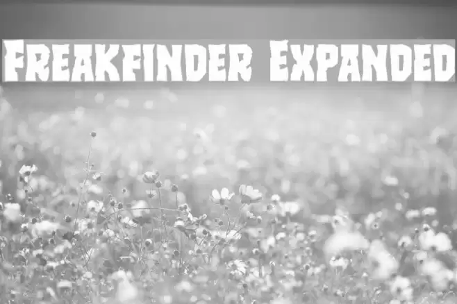 Freakfinder Expanded Font examples