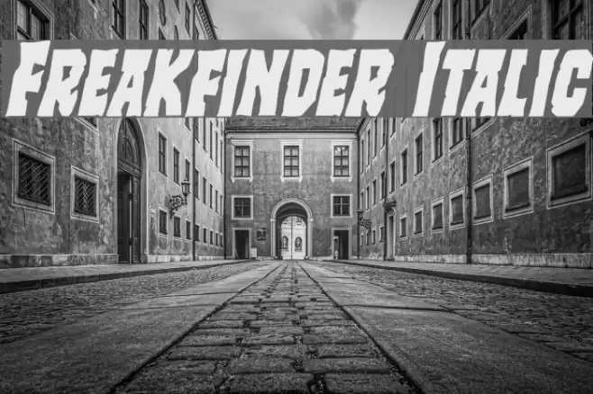 Freakfinder Italic Font examples