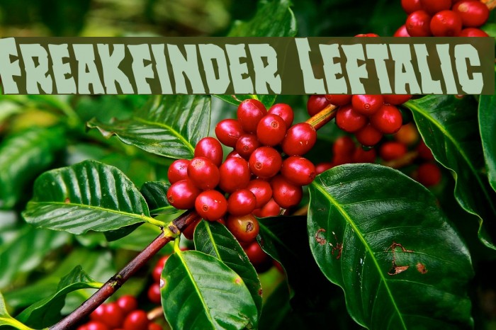Freakfinder Leftalic Font examples