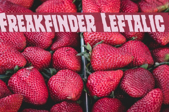 Freakfinder Leftalic Font examples