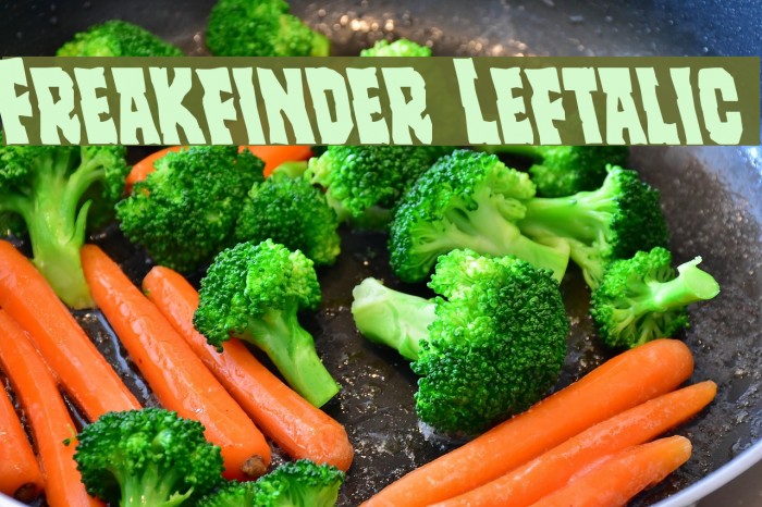 Freakfinder Leftalic Font examples