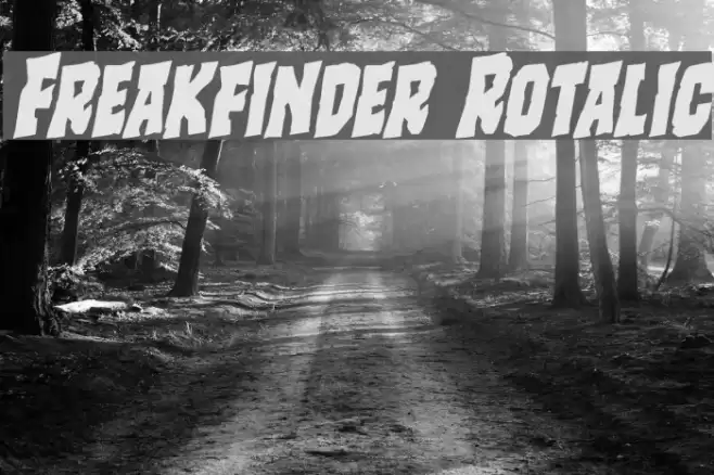 Freakfinder Rotalic Font examples