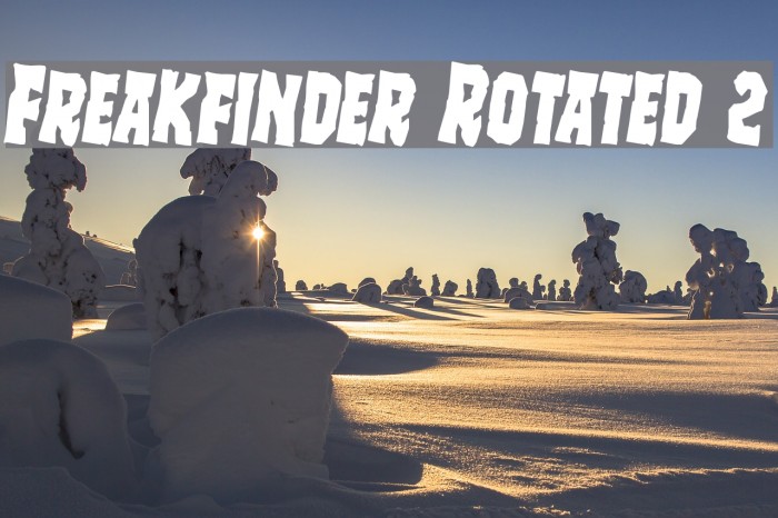 Freakfinder Rotated 2 Font examples