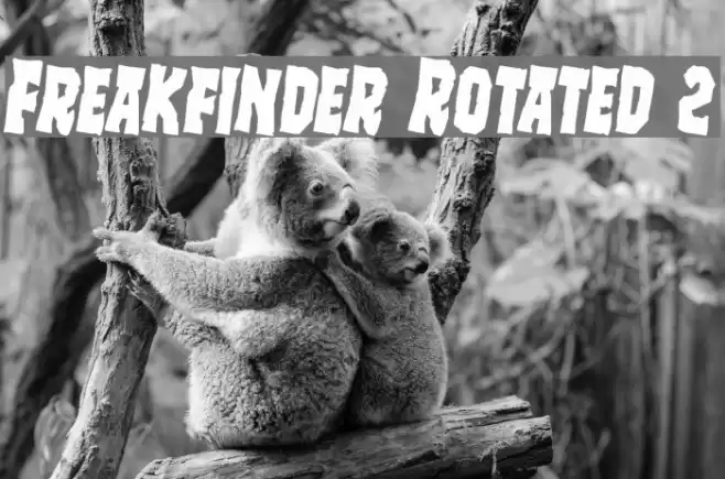 Freakfinder Rotated 2 Font examples