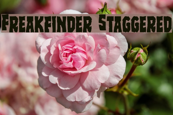 Freakfinder Staggered Font examples