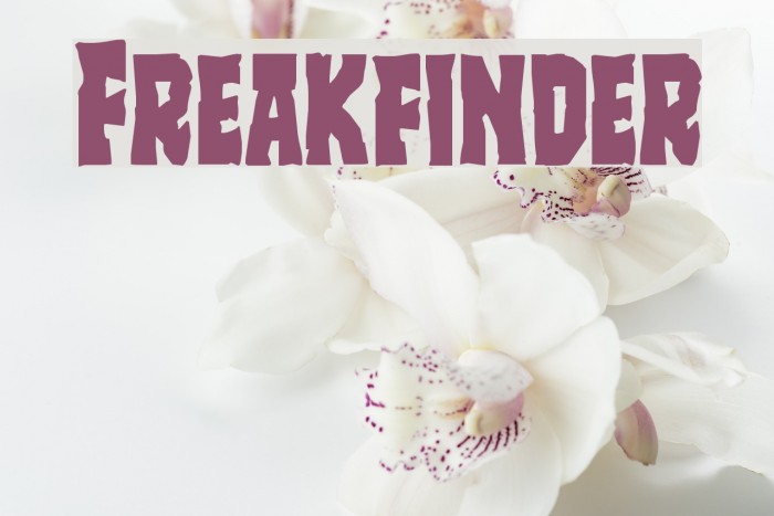 Freakfinder Font examples