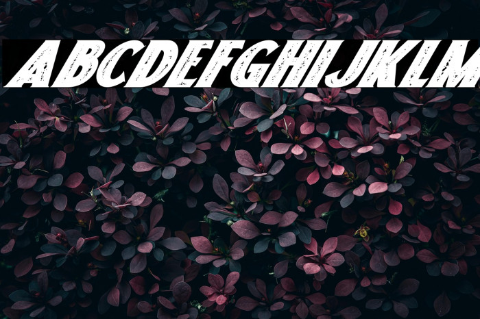 Freakland Italic Example 2