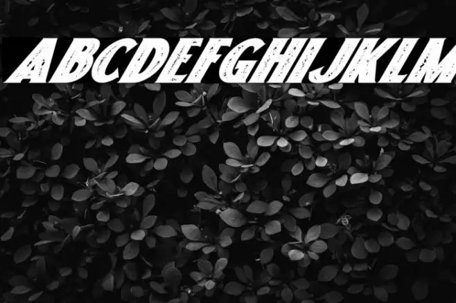 Freakland Italic Font examples