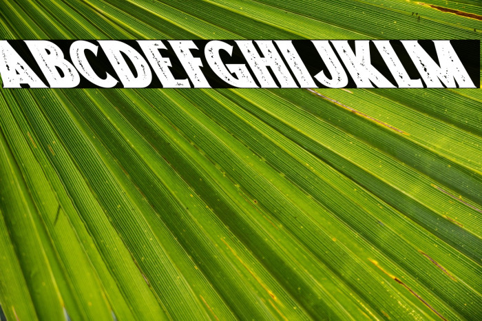 Freakland Oblique Example 1