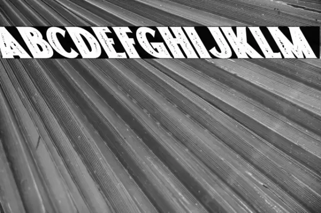 Freakland Oblique Font examples