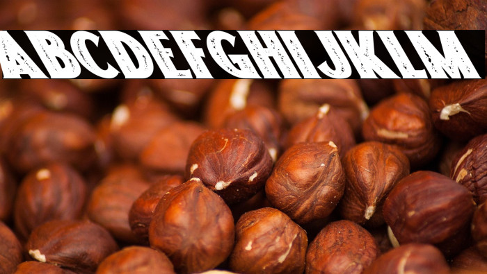 Freakland Oblique Example 2