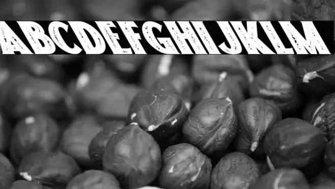 Freakland Oblique Font examples