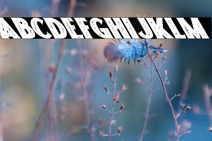 Freakland Oblique Example 3