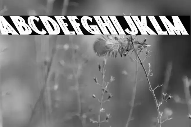 Freakland Oblique Font examples