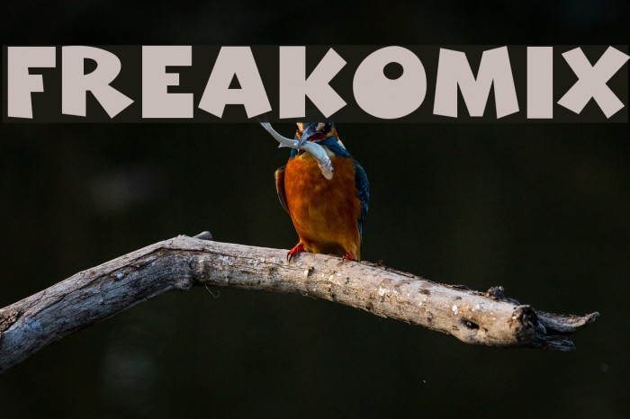 Freakomix Font examples