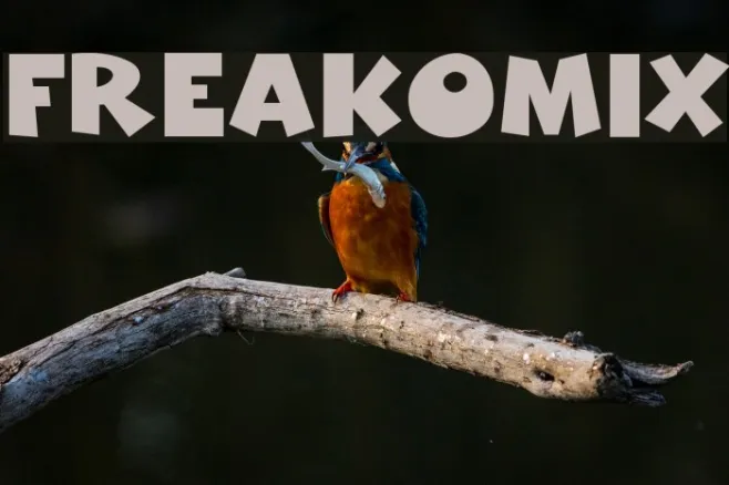 Freakomix Example 2