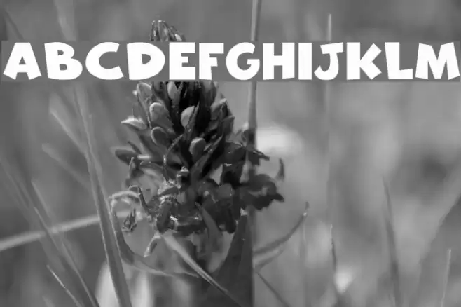 Freakomix Font examples