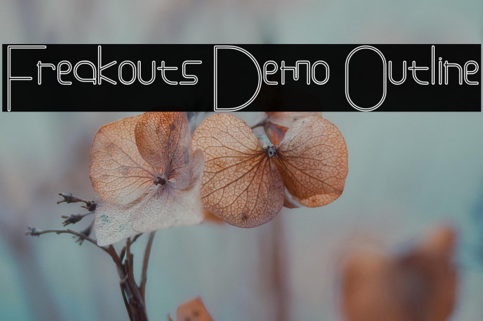 Freakouts Demo Outline Example 2