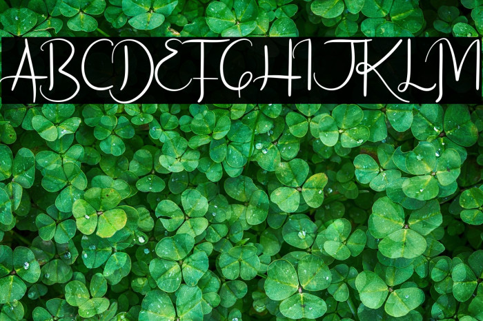 Freakouts Demo Example 1