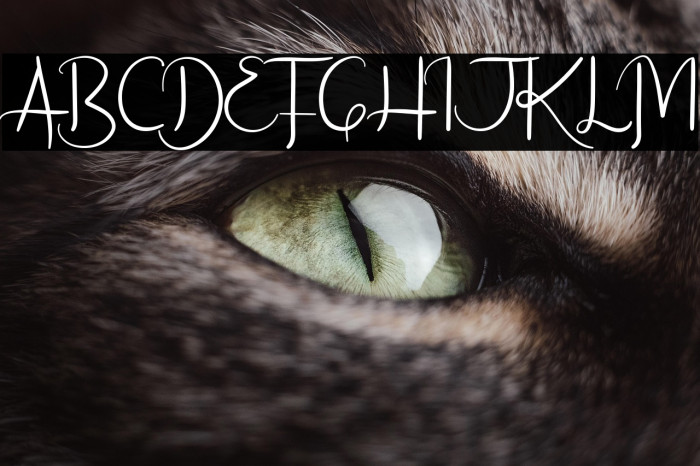 Freakouts Demo Example 2