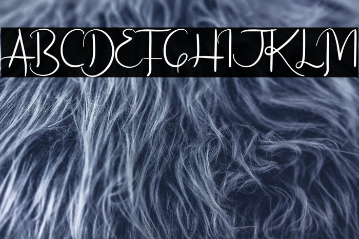 Freakouts Demo Example 3