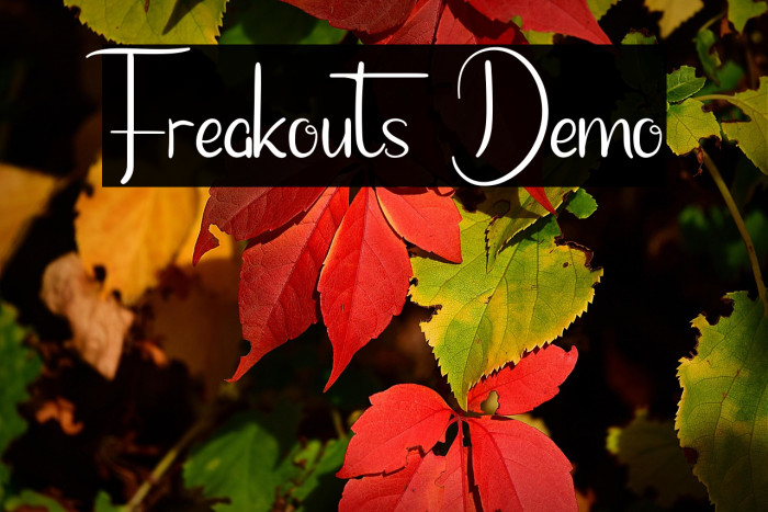Freakouts Demo Example 1