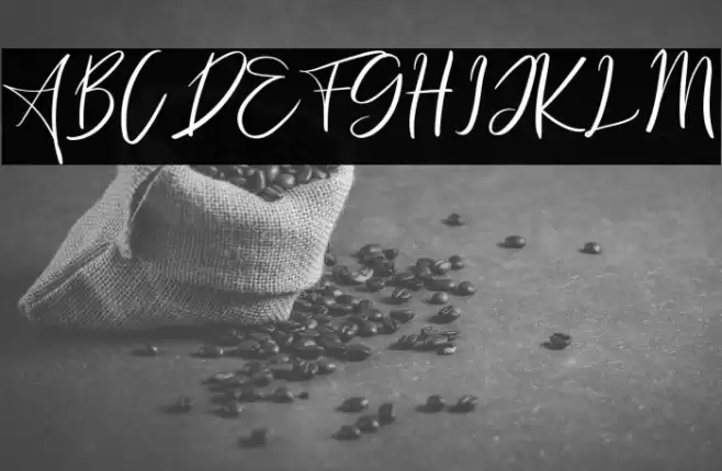 Freaks Polices examples