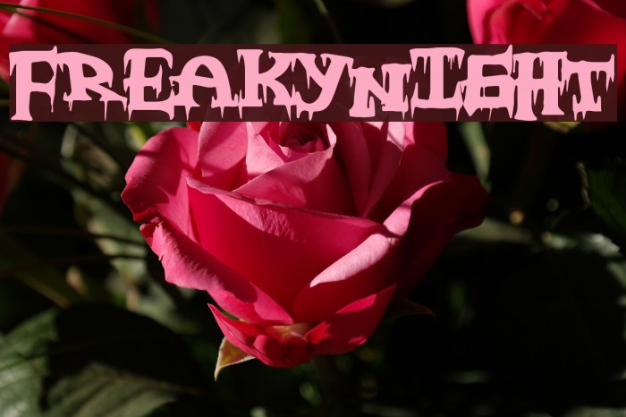 FreakyNight Font examples