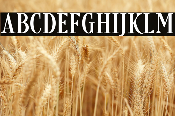 FreakyStoryDEMO Example 3