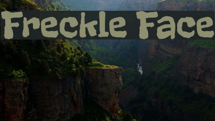 Freckle Face Font examples