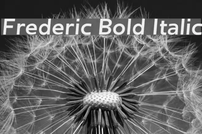 Frederic Bold Italic Font examples