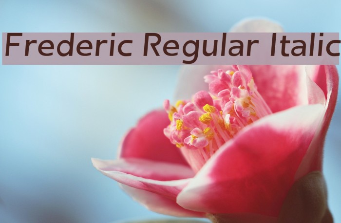 Frederic Regular Italic Font examples