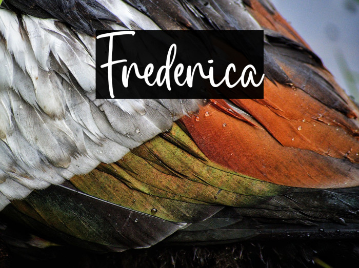 Frederica Example 1