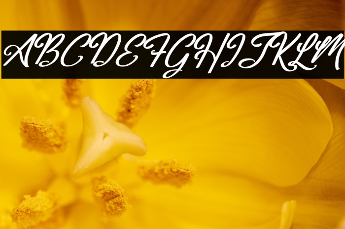 Frederick Alexander Italic Example 2